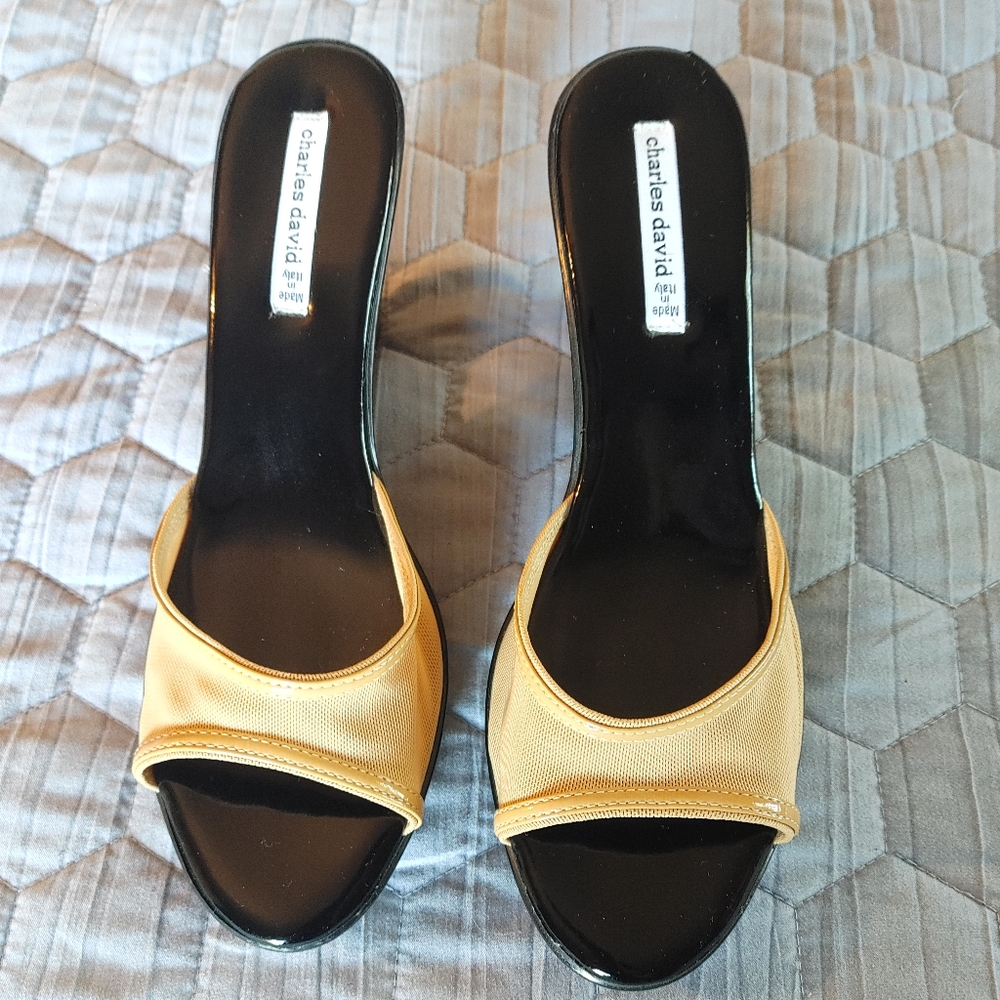 Charles David slip on mules